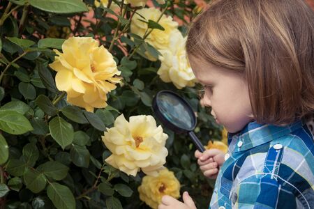 Happy little boy exploring nature with magnifying glass at the day time. Concept of interesting lesson.の写真素材