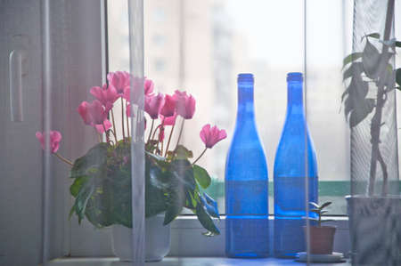 View through very thing grey curtain on window sill with pink flower of cyclamen two glass blue bottles with no people indoor interiorの写真素材