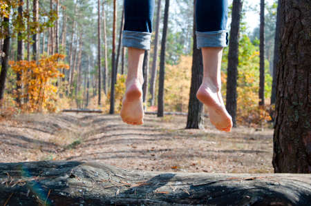 female healthy legs or feet barefoot with heel and toe jumping on wood sunny outdoor in autumn forest with seasonal leaves on natural background as freedom symbolの写真素材