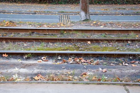 public transportation empty way of tram rail track outdoor with autumn seasonal leaves on ground on natural background with nobodyの写真素材