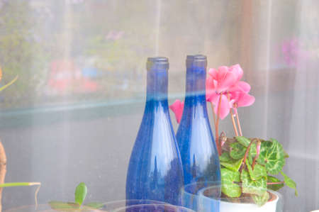 View through very thing grey curtain on window sill with pink flower of cyclamen two glass blue bottles with no peopleの写真素材