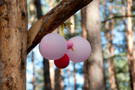 balloon hanging on wooden beam for birthday party outdoorの写真素材