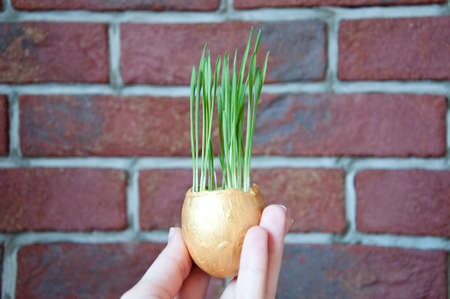Birth concept, golden broken egg with shell. Ecology and environment, healthy food, egg hunt....