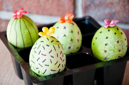 Egg hunt. Traditional food cooking. Painted eggs. DIY and handmade. Happy easter holiday. natural dye. Easter egg. Green life. Flower. Spring seedlings. Greenhouse. Cactus blooming. Springtime.の写真素材