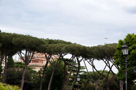 Green trees in park. Park landscape on cloudy sky. Park view with palm trees and other tropical exotic plants. Recreational park. Protection of nature and environment. Moments of reflection.の写真素材