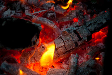 bonfire closeup. fire and firewood turned into coal ash. burning tree branches wooden logs. picnic...