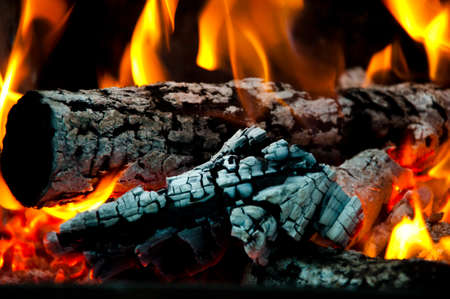burning tree branches wooden logs. picnic on camping. warm up the stove. sparking balefire with flames light. Wood campfire. fireplace. bonfire closeup. fire and firewood turned into coal ash.の写真素材