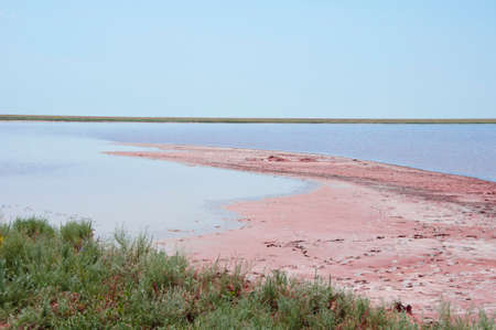 salty shore in Kherson region, Ukraine, pink water.