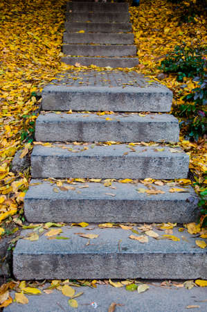stairs with yellow autumn leaves with nobody, way.の写真素材