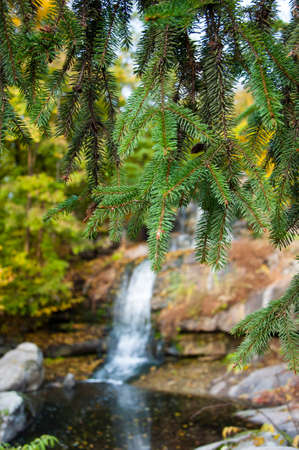 blur waterfall view with fir tree branch, copy space.の写真素材