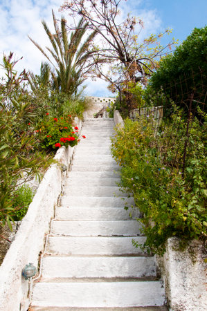 White stone steps stairs in mediterranean garden natural landscape.の写真素材