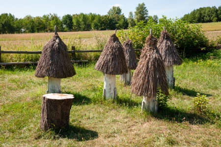 Old thatched beehives structure folk architecture on rural landscape in Pyrohiv, Ukraine.