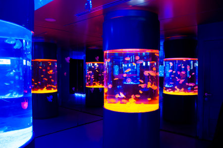 jellyfish in ocean. aquarium with jellyfish. underwater animal life. aquatic sea jelly wildlife. marine animal in seabed deep undersea. jelly fish has tentacle. world of jellyfish.の写真素材