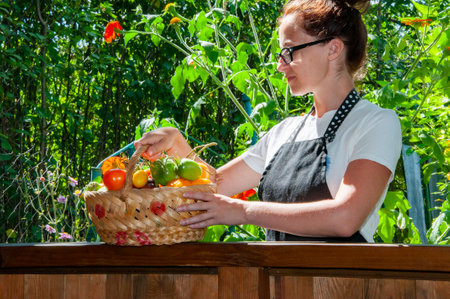 woman farmer with vegetable harvest in basket. agriculture crop.の写真素材