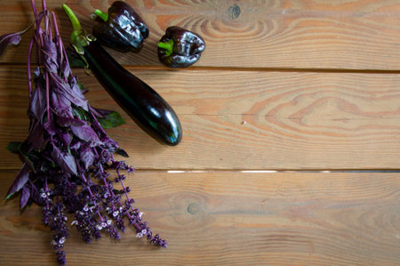 organic food. harvest of vegetables eco farming and harvesting. summer farm crop. vegetable harvesting. fresh and organic healthy vegetable. gardening agriculture cultivation. copy space banner.の写真素材