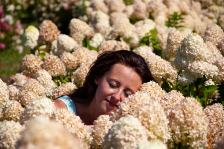 Girl in summer or spring nature. Blooming flower. Woman in hydrangea field in summer outdoor. Hydrangea flower garden and girl. Summer field of hydrangea. Beautiful woman and hydrangea. Skincare.の写真素材