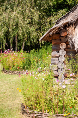 Authentic Ukrainian house in countryside. Summer village in Ukraine. Old folk thatched house. Ukrainian traditional wooden rustic house. Rural countryside in summer ranch. Architecture.の写真素材