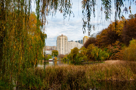 Autumn landscape with pond. Fall nature landscape. Autumn nature in park. Seasonal fall landscape. Park autumn tree and pond. Scenic fall. Central park in autumn. Falling leaves.の写真素材