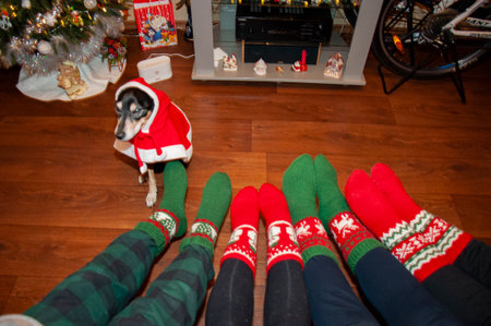 Xmas fun. Christmas family together. Happy family at home on New Year 2025. Winter holiday. Xmas and...