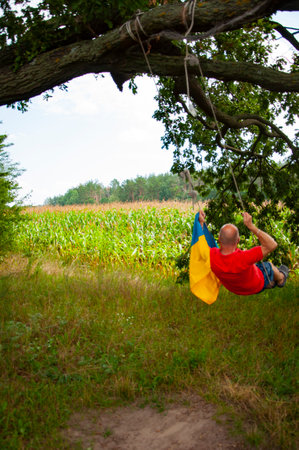 Carefree memories. Flag of Ukraine. Independence day. Ukrainian flag day. August 24. Bold man swinging on swing in maize field with Ukrainian flag, copy space. Independence day of Ukraine.の写真素材