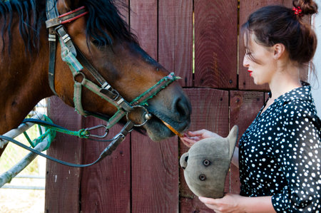 Woman with horse in stable at countryside ranch. Girl horse rider in summer outdoor. Equestrian and...