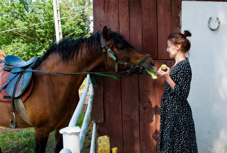 Woman with horse in stable at countryside ranch. Girl horse rider in summer outdoor. Equestrian and horseback riding. Horse stallion equine with Hispanic woman girl. Countryside ranch. Vintage style.の写真素材