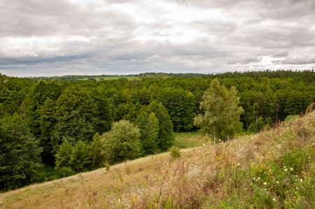 Mountainous landscape with cloudy sky. Scenic green hill mountain. Breathtaking summer day in wild mountain with forest and green valley. Mountain landscape with valley. Dramatic sky.の写真素材