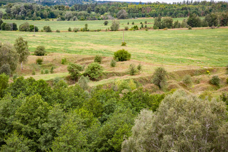Scenic green hill. Breathtaking summer day in wild with forest and green valley. Landscape with...