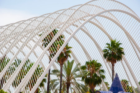 Palm tree park Valencia. City of arts sciences in Valencia, Spain. Geometric architecture design. Modern architecture. Geometric park architecture. Architectural geometrical construction.の写真素材