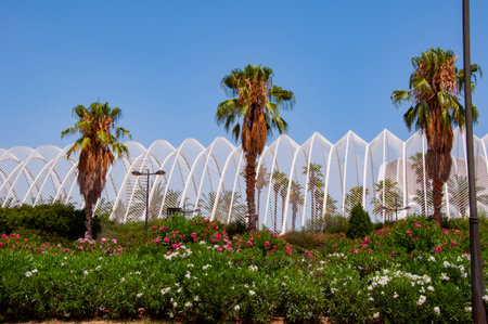City of arts sciences in Valencia, Spain. Geometric architecture design. Modern architecture. Geometric park architecture. Architectural geometrical construction. Palm tree park. Urban oasis Valencia.の写真素材