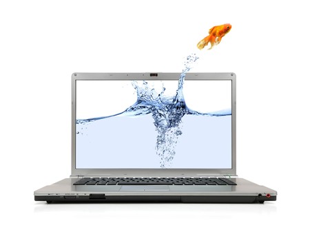 A goldfish jumping out of laptop screen to escape to real world on white background.の写真素材