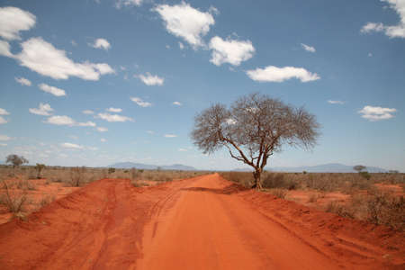 A winding dirt road through Tsavo East National Park in Kenya, East Africaの写真素材