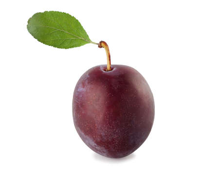 fresh plum with leaf isolate on whiteの写真素材