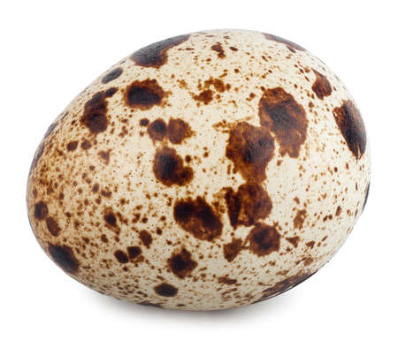 Single quail egg isolated on a white backgroundの写真素材