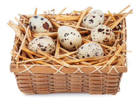 Quail eggs in basket isolated on white backgroundの写真素材