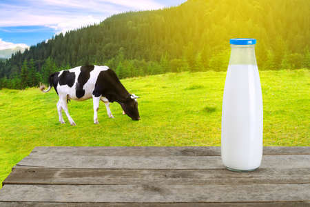 Milk in glass bottle on old wooden table with grazing cow on the meadow in mountains with sunshine in background. Milk with cow on the background . Milk bottle on tableの写真素材