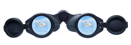 The sky with bird reflected in a pair of binoculars. Tourist binoculars isolated on a white...