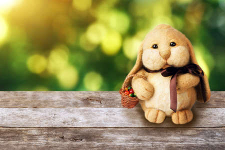 Easter decoration rabbitの写真素材