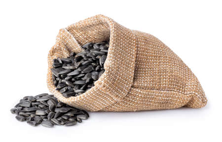 sunflower seeds in bagの写真素材