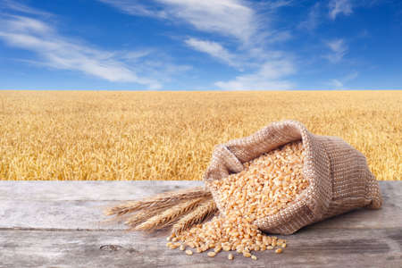 Bulgur on the nature backgroundの写真素材