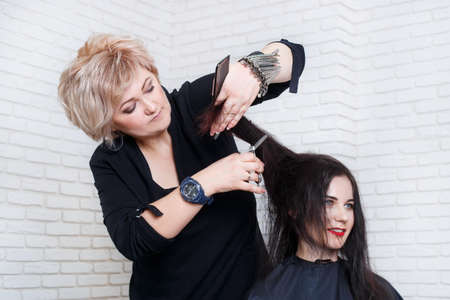 hairdresser working with clients hairの写真素材