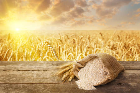 bran in bag and ears on table with ripe cereal field on the background. Food supplement to improve digestion. Dietary fiber. Product for healthy nutrition and diet. Golden field on sunsetの写真素材