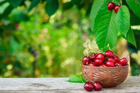 bowl with cherriesの写真素材