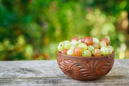 gooseberries in bowl on tableの写真素材