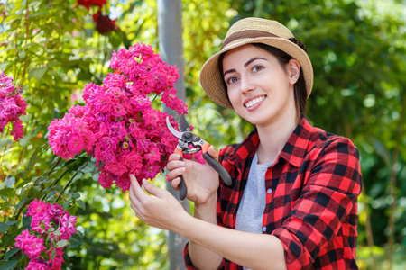gardener girl trimming flowers with secateursの写真素材