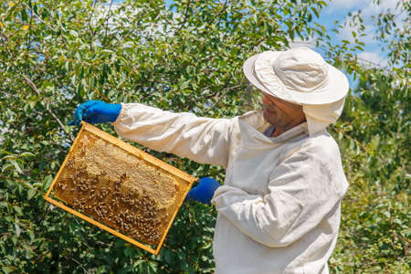 beekeeper holding a honeycomb