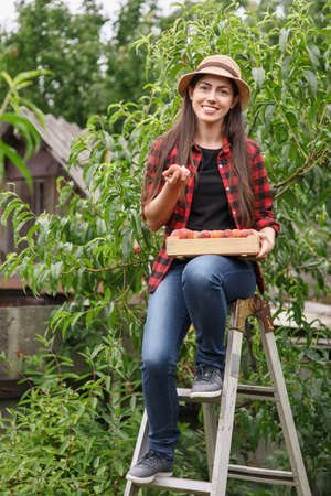 woman picking peaches