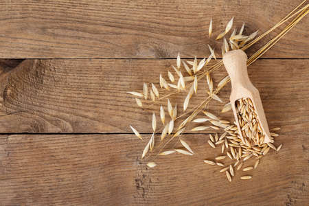 ears of oats and oat grains on wooden table top view copy space. Agriculture and harvest conceptの写真素材