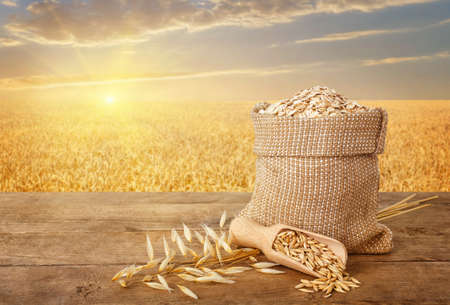 oatmeal in bag, scoop with oat grains, ears of oats on wooden table with field on the background. Golden field on sunset. Uncooked porridgeの写真素材