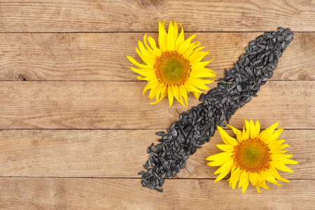 sunflower seeds and fresh sunflowers on wooden table top view. Agriculture concept. Percent signの写真素材